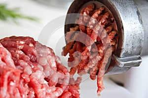 Meat grinder