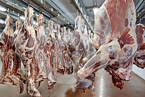 Meat industry