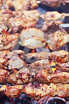 Meat kebab shashlik on skewers  and grill