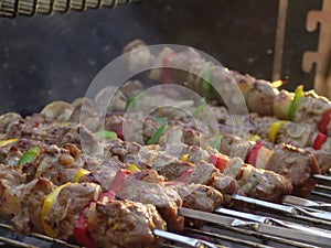 Meat kebabs shashlyk summer bb