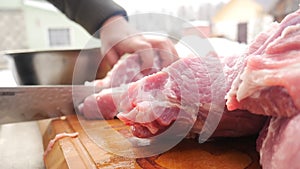 Meat with knife on cutting board.