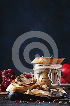 Meat liver pate on toasted bread with fruit seeds and spice herb, brown kitchen table, copy space, selective focus