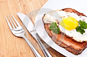 Meat loaf with fried egg on a plate