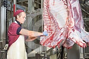 Meat manufacturing factory. butcher cutting beef carcass