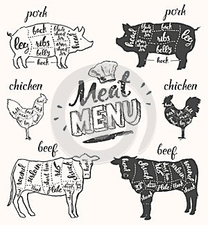 Meat menu pork chicken beef cuts hand drawn vector