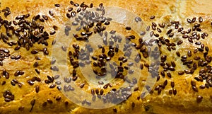 Meat pies. Baked rolls from yeast dough, sprinkled with sesame and flax seeds on parchment