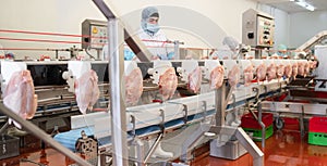 Meat processing equipment,meat factory.chicken on a conveyor belt.Processing plant assembly line.People working at a chicken