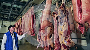 Meat processing factory, food production facility. Plant specialist is relocating dressed beef carcasses