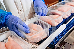 Meat processing,food industry.Packing of meat slices in boxes ,conveyor belt.People working at a Chicken fillet