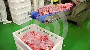 Meat Processing Plant