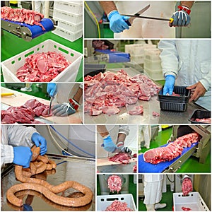 Meat Processing Plant - Collage