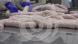 Meat processing plant and food industry