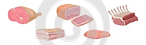 Meat Products as Foodstuff from Butchery Vector Set