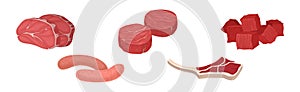 Meat Products as Foodstuff from Butchery Vector Set