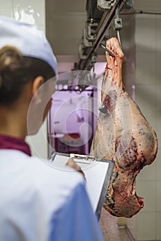 Meat quality control in butchery.