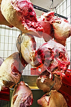 Meat in a refrigerated storage building