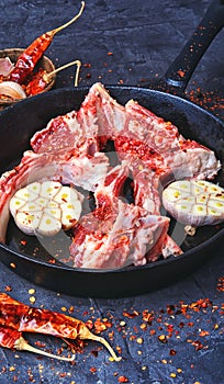 Meat on the rib of lamb