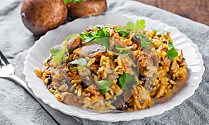 Meat with Rice, mushroom and vegetables in white plate on wooden table