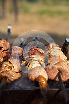 Meat roasting on the grill