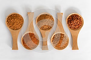 Meat Seasonings on Wood Spoons