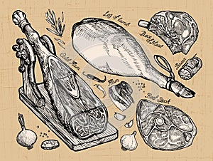 Meat. set sketch elements hand drawn. vector illustration