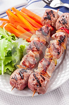 Meat Skewers with Carrots and Salad