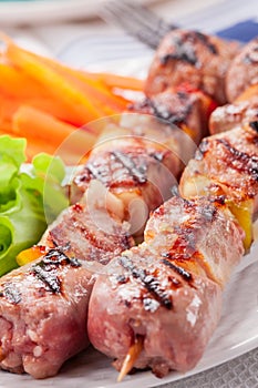 Meat Skewers with Carrots and Salad