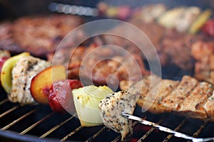 Meat and skewers on the grill