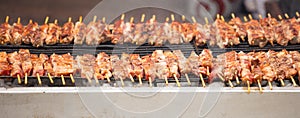 Meat skewers souvlaki on grill. Close up, banner, front view with details.