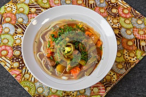Meat soup with noodles in a plate