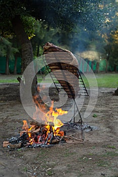 Meat on the spit or asado in the stake. Grill on the coals. Traditional Argentine barbecue photo