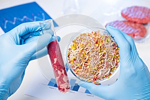 Meat in test tube and plant material in Petri dish