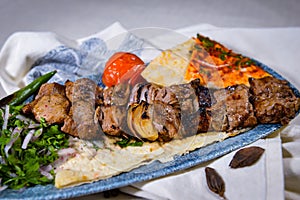 meat tikka boti seekh kabab of chicken, mutton, beef, lamb with pita bread, tomato and onion served in dish isolated on food table