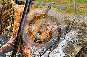 Meat and vegetable exhibition on a barbecue known as Parrilla. Typical barbecue from the south of Latin America photo