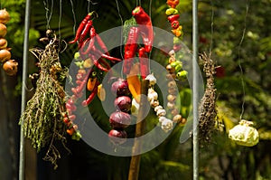 Meat and vegetable exhibition on a barbecue known as Parrilla. Typical barbecue from the south of Latin America photo