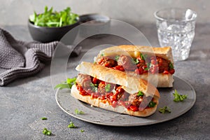 Meatball sub sandwich with cheese and marinara tomato sauce. american italian fast food