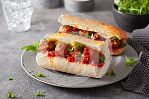 Meatball sub sandwich with cheese and marinara tomato sauce. american italian fast food