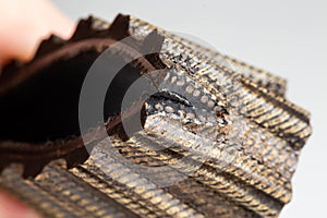 A mechanic holds a torn timing belt in his hand. Broken timing belt, macro