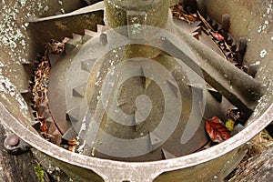 Mechanical bark stripper