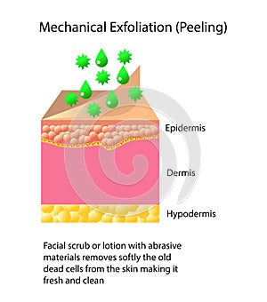 Mechanical exfoliation or peeling, vector illustration on light background