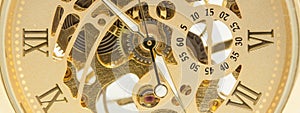 Mechanical gold watch macro