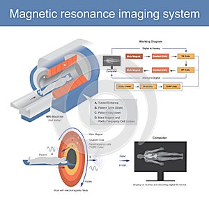 The Mechanical technique used in radio wave to form pictures of