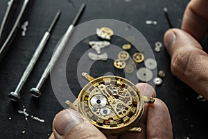 Mechanical watch repair. Watchmaker is repairing the mechanical watches