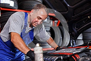 Mechanician repairing car