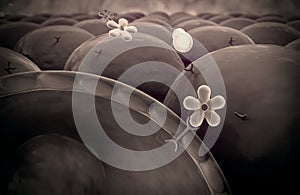 Insulin, molecule, cell