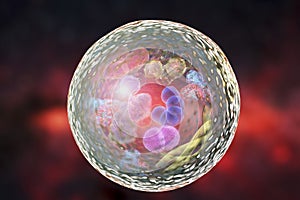 Mechanism of cellular authophagy