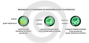 Mechanisms of microbial cell resistance to antibiotics