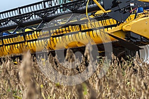 Mechanized soybean harvest on a farm i