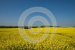 Mecklenburg landscape