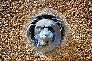 Medallions of lions fountain in the city